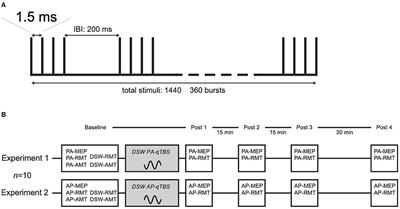 Double-Sine-Wave Quadri-Pulse Theta Burst Stimulation of Precentral Motor Hand Representation Induces Bidirectional Changes in Corticomotor Excitability